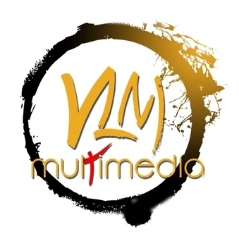 vlm